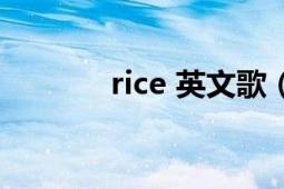 rice 英文歌（rice 英语单词）