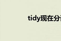 tidy现在分词（Tidy相册）