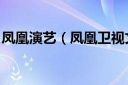 凤凰演艺（凤凰卫视文化演艺 上海有限公司）