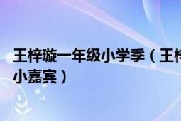 王梓璇一年级小学季（王梓璇 电视节目《一年级小学季》的小嘉宾）