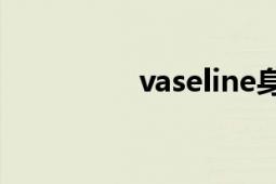 vaseline身体乳（vase）