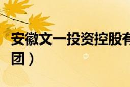 安徽文一投资控股有限公司（安徽文一投资集团）