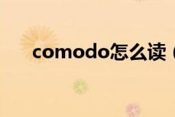 comodo怎么读（COMODO防火墙）