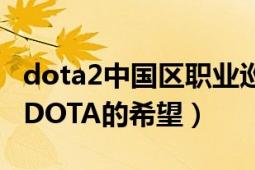 dota2中国区职业巡回赛第二赛季（我是中国DOTA的希望）