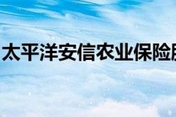 太平洋安信农业保险股份有限公司董事邢志斌