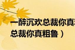 一醉沉欢总裁你真粗鲁txt下载（一醉沉欢：总裁你真粗鲁）