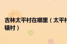 吉林太平村在哪里（太平村 吉林省长春市德惠市米沙子镇下辖村）