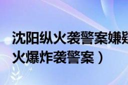 沈阳纵火袭警案嫌疑人当场死亡（328沈阳纵火爆炸袭警案）