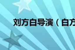 刘方白导演（白方礼 马建军导演电影）