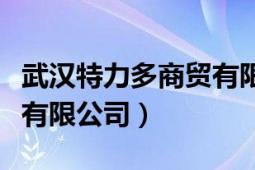 武汉特力多商贸有限公司（武汉特能市场推广有限公司）