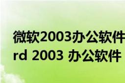 微软2003办公软件（Microsoft Office Word 2003 办公软件）