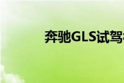 奔驰GLS试驾视频（奔驰GLS）