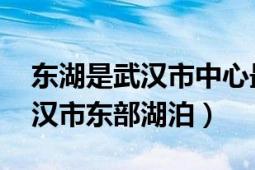 东湖是武汉市中心最大的湖（东湖 湖北省武汉市东部湖泊）