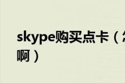 skype购买点卡（怎么样购买SKYPE的点数啊）