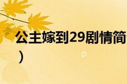 公主嫁到29剧情简介（公主嫁到27剧情简介）