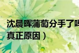 沈晨晖蒲萄分手了吗（沈晨晖与前妻李静离婚真正原因）