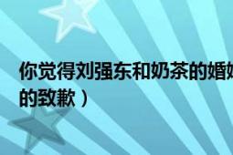 你觉得刘强东和奶茶的婚姻还能维持下去吗（你如何看待他的致歉）