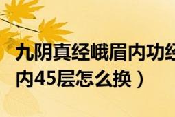 九阴真经峨眉内功经脉搭配（九阴真经峨眉四内45层怎么换）