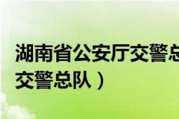 湖南省公安厅交警总队副队长（湖南省公安厅交警总队）