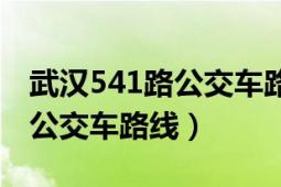 武汉541路公交车路线时间查询（武汉541路公交车路线）