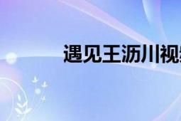 遇见王沥川视频（遇见王沥川）