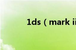 1ds（mark ii还是1d mark3）