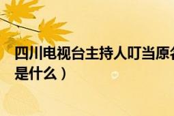 四川电视台主持人叮当原名（《挑战主持人》里的叮当原名是什么）