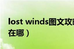 lost winds图文攻略（lostwinds2攻略国王在哪）