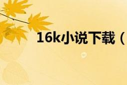 16k小说下载（16kbook小说网）