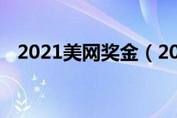 2021美网奖金（2021美网奖金分配\