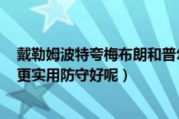 戴勒姆波特夸梅布朗和普尔兹比拉哪个当替补中锋好些呢（更实用防守好呢）