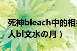 死神bleach中的相关衍生cp（死神bleach同人bl文水の月）