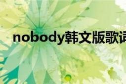 nobody韩文版歌词（nobody韩文歌词）