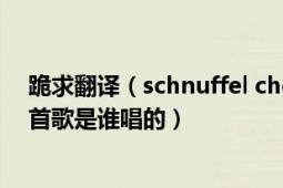 跪求翻译（schnuffel chenparty 中文是什么意思 还有这首歌是谁唱的）