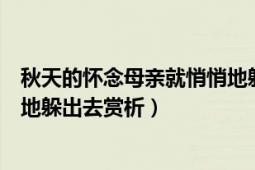 秋天的怀念母亲就悄悄地躲出去赏析（秋天的怀念母亲悄悄地躲出去赏析）