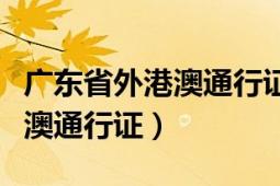 广东省外港澳通行证续签（广东省网上续签港澳通行证）