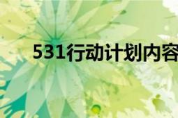 531行动计划内容怎么写（5310刷机）