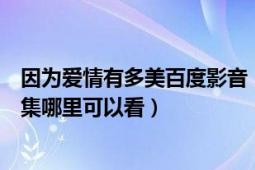 因为爱情有多美百度影音（《因为爱情有多美》百度影音全集哪里可以看）