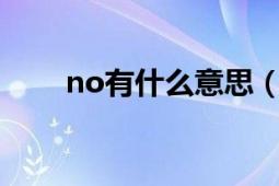 no有什么意思（NOYOU什么意思）