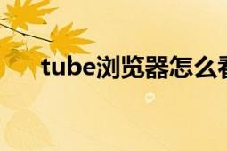 tube浏览器怎么看（tubeum怎么看）