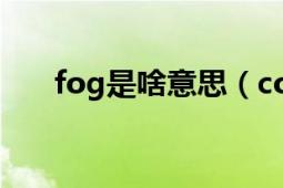 fog是啥意思（comfrog是什么意思）