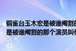 铜雀台玉木宏是被谁阉割的那个演员叫什么（铜雀台玉木宏是被谁阉割的那个演员叫什么）