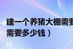 建一个养猪大棚需要多少钱（建一个养猪大棚需要多少钱）