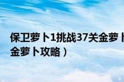 保卫萝卜1挑战37关金萝卜攻略（保卫萝卜挑战关37之全清金萝卜攻略）