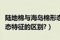 陆地棉与海岛棉形态差异（海岛棉与陆地棉形态特征的区别?）