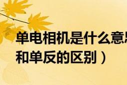 单电相机是什么意思（微电相机是什么意思 和单反的区别）