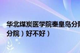 华北煤炭医学院秦皇岛分院地址（华北煤炭医学院（秦皇岛分院）好不好）