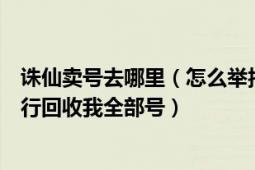 诛仙卖号去哪里（怎么举报一个诛仙私服叫嘟嘟诛仙今天强行回收我全部号）