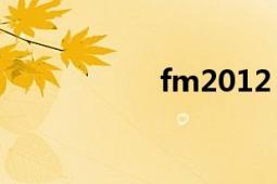 fm2012（前锋问题）