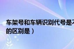 车架号和车辆识别代号是不是一个（车辆识别代号与车架号的区别是）